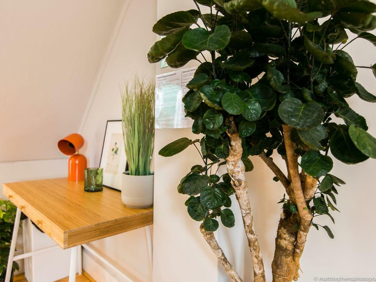 Exquisite 3Bdr Botanical Oasis In Central Brighton Exterior photo